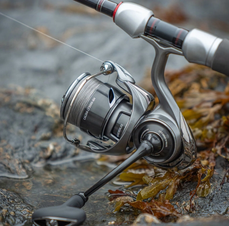 Daiwa 25 Caldia LT Reel